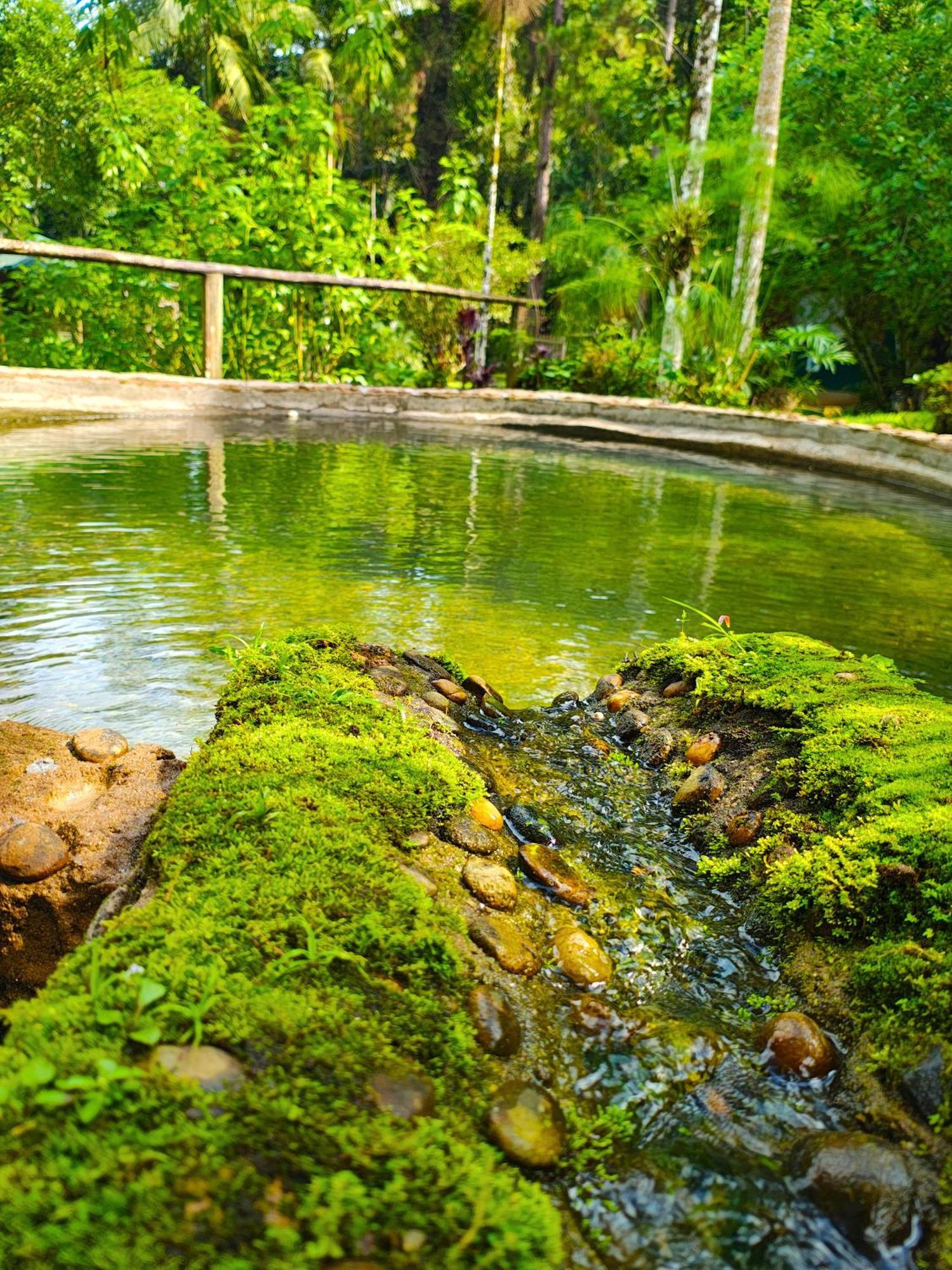 Pousada Romantica Serra Da Mata Penedo  Dış mekan fotoğraf